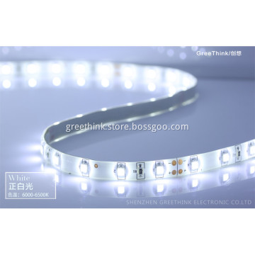 +Pure White High Brightness 12V Led Garden Light